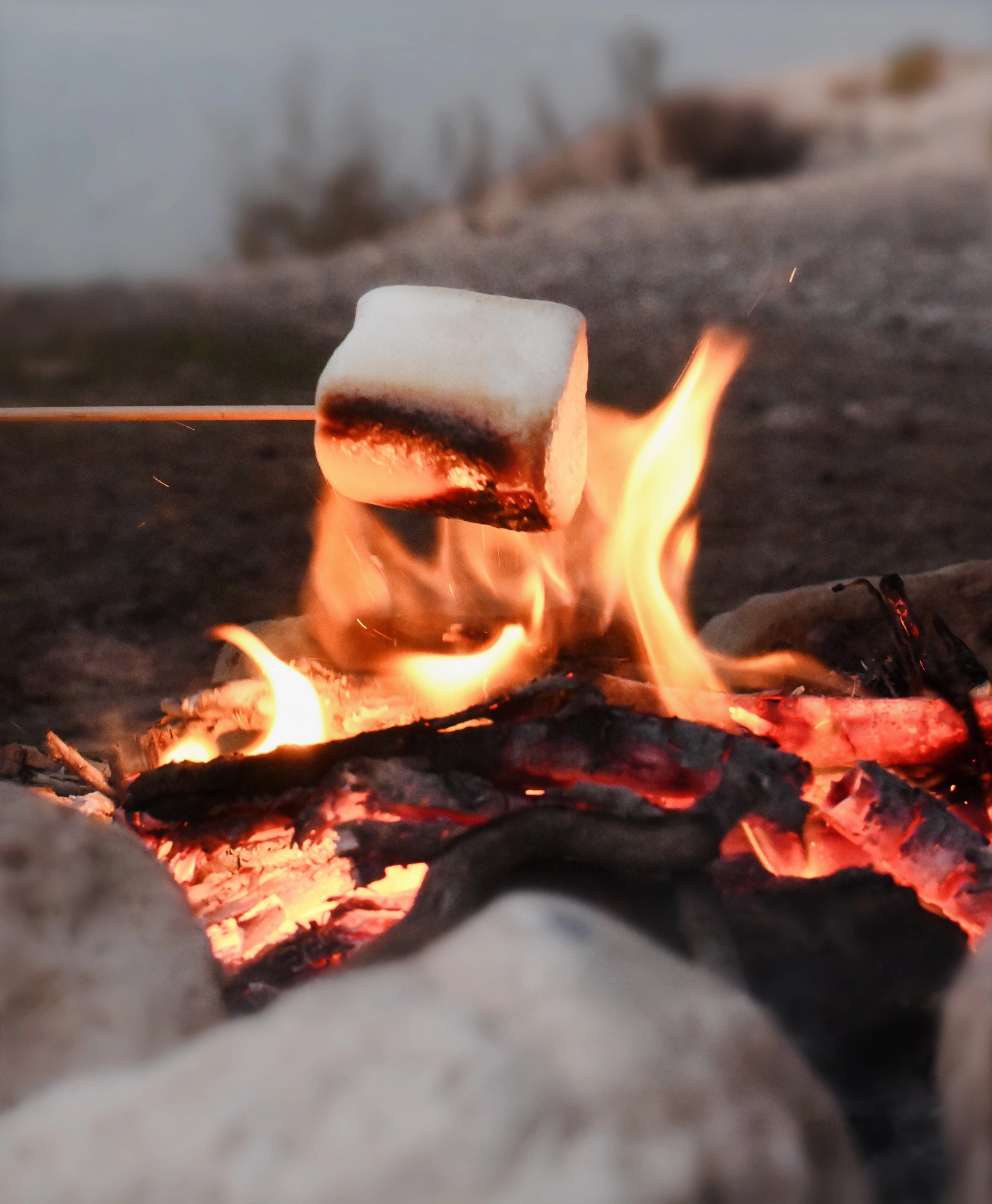 Marsh mellow over a camp fire