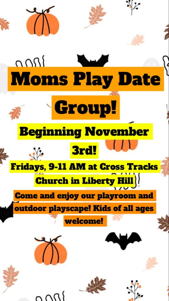 Moms Play Group